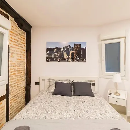 Dendarikale Old Town By Next Stop Apartment Bilbao
